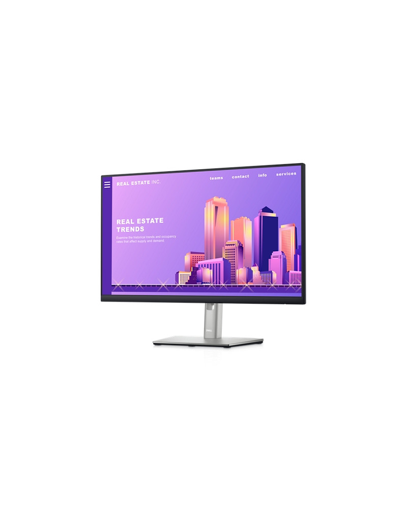 Dell 24 Monitor - P2422H
