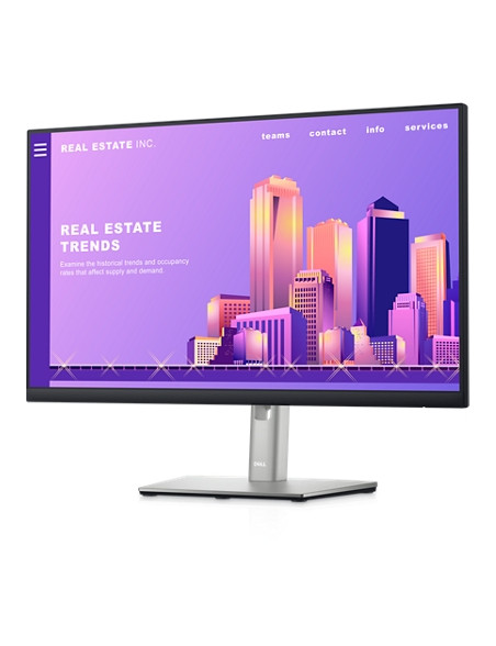 Dell 24 Monitor - P2422H