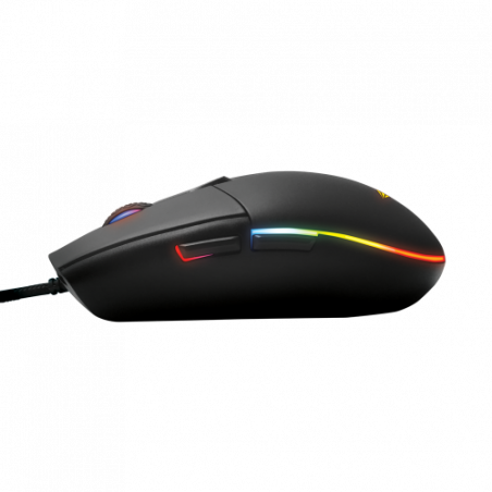 GRUMMAN RAVEN-III STEALTH