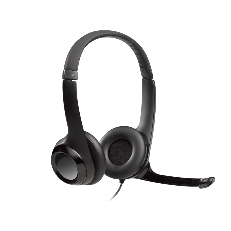 Logitech H390 USB Computer Headset