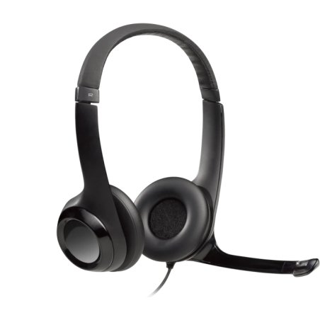 Logitech H390 USB Computer Headset