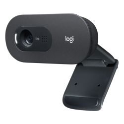 Logitech C505 HD Webcam